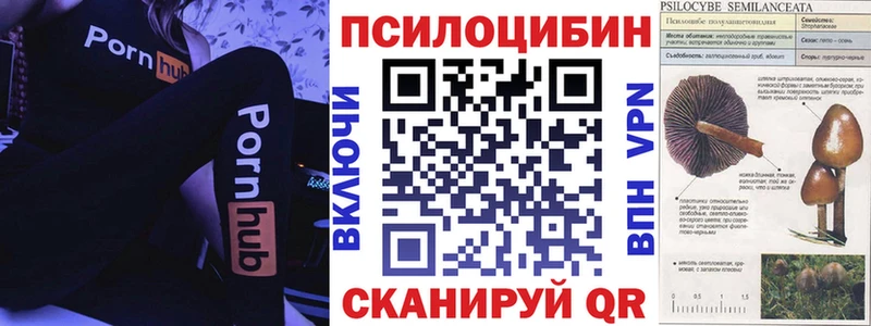 Псилоцибиновые грибы мухоморы  Реутов 