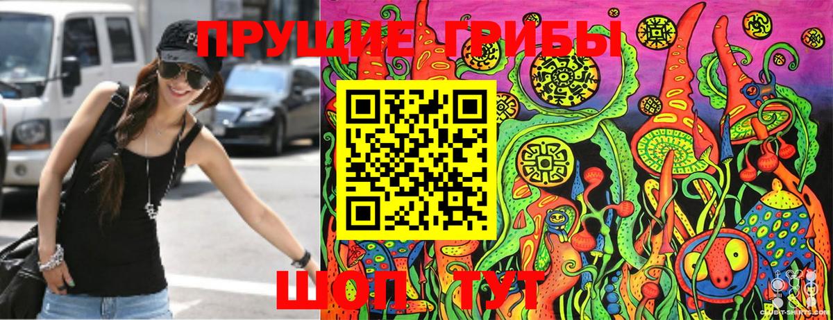 Псилоцибиновые грибы MAGIC MUSHROOMS  Вход с VPN  Реутов 